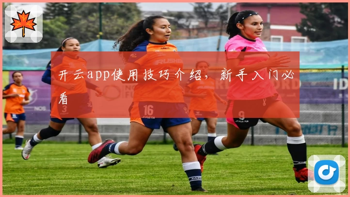 开云app使用技巧介绍，新手入门必看